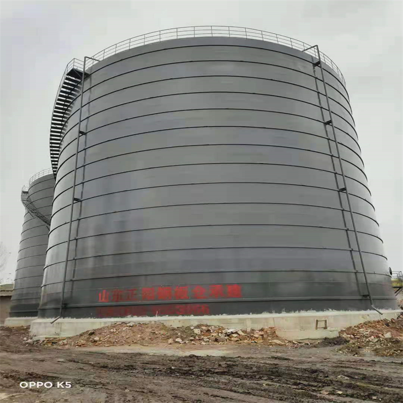 龙湾镇3万吨大型钢板库